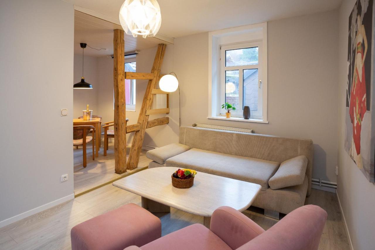 Вилла Gruppenhaus St Andreasberg Braunlage Harz Санкт-Андреасберг Экстерьер фото